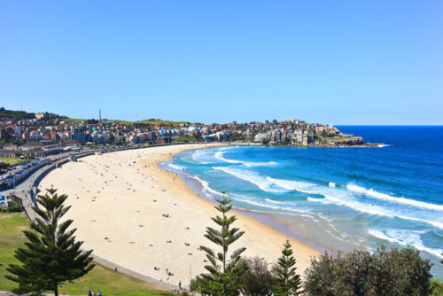 Bondi Beaches in australia