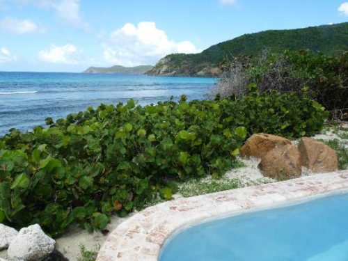 whole area of guana island