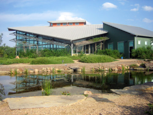 world birding center edinburgh