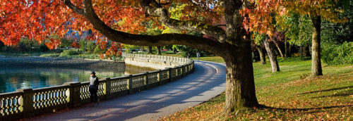 Vancouver beautiful lake park