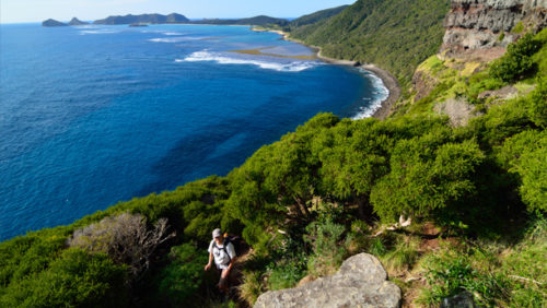 Mount gower