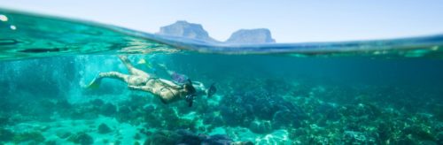 Snorkeling at lord howe