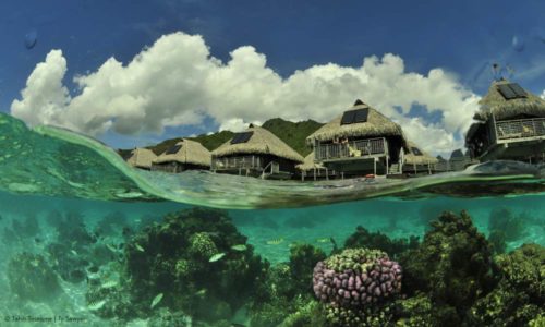 Bora Bora natural beauty