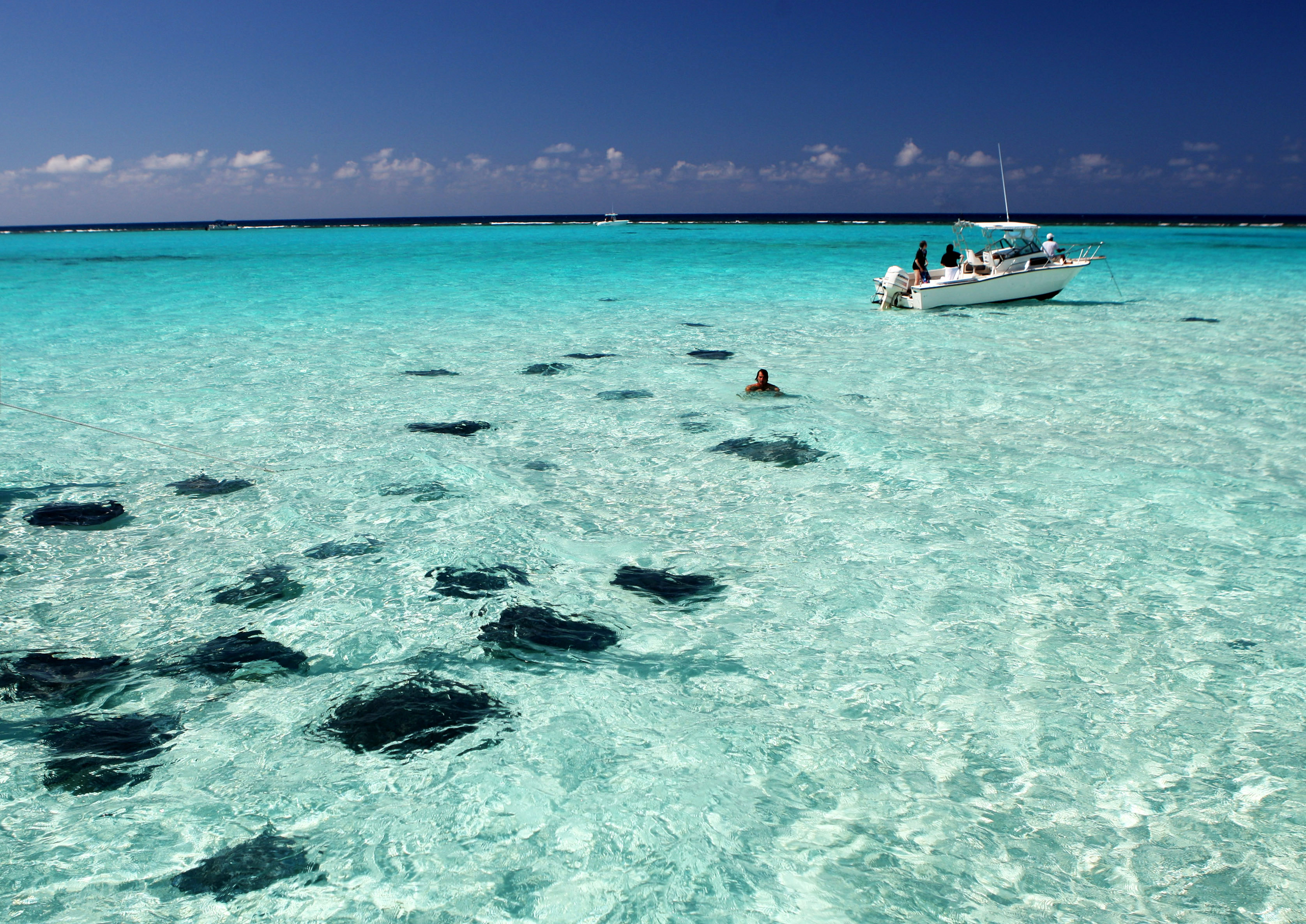 Cayman Islands "Wonderful Holiday" - Gets Ready