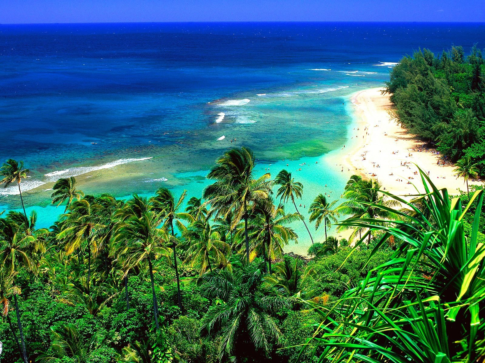 Kauai the Attractive Destination in Hawaii - Gets Ready