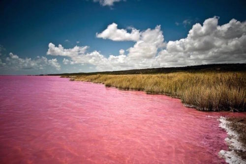 Hillier Lake australia so unique