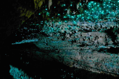 Glow Worm Cave must visited place