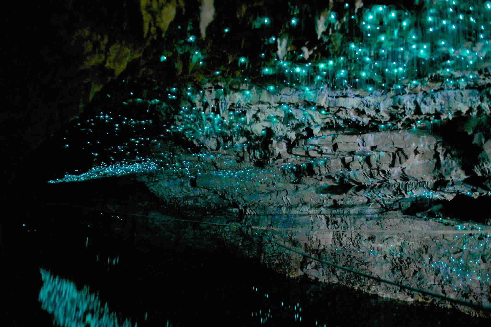 Glow Worm Cave New Zealand Gets Ready glow-worm-cave-new-zealand-gets-ready