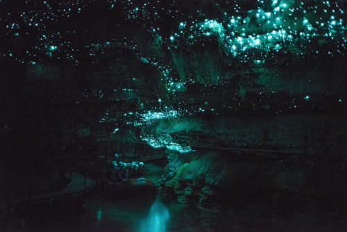 Glow Worm Cave most amazing place in the world