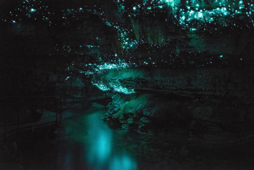 Glow Worm Cave new zealand