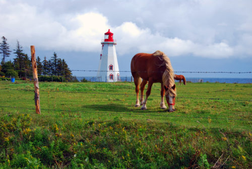 fresh atmosphere at prince edward island