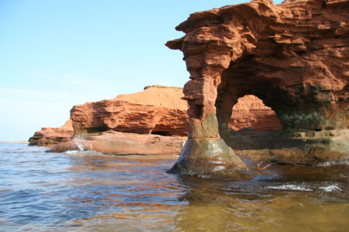 prince edward island coral