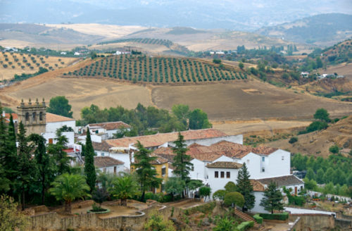 the village area at andalusia