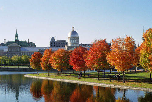 Marché Bonsecours and Foliage montreal