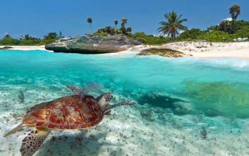 an awesome scenery at Playa Del Carmen