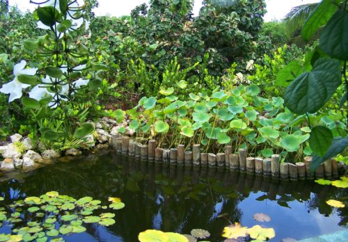 Floral Garden lake