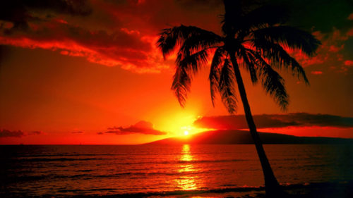 beautiful sunset in hawaii