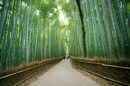 arashiyama