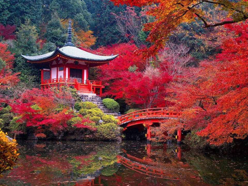 download Kyoto Gardens: Masterworks of the Japanese Gardener\\'s Art 2015