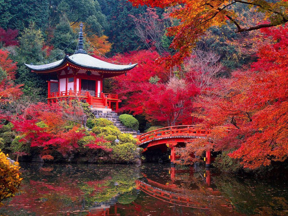 Kyoto the Best Destination in Japan - Gets Ready