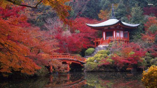 wonderful-scenery-in-kyoto