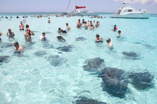 Stingray city