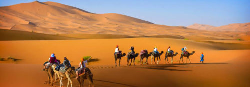 Camel trekking tour at marrakech