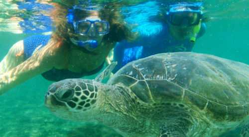 Kailua beach snorkeling