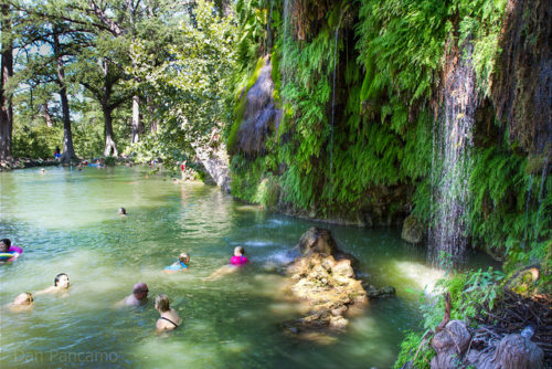 Krause springs near austin texas