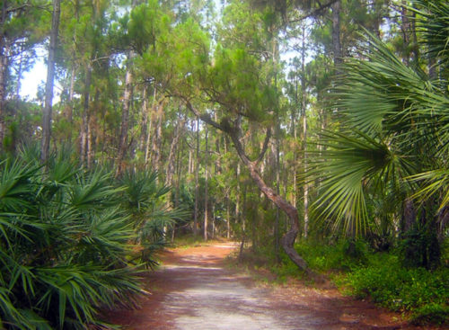 Okeeheelee nature center