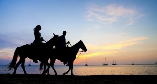 Takiab beach horse riding