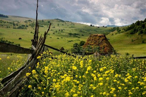 Beautiful field in romania